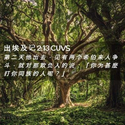 Picture 02 - 出 埃 及 记 2:13 CUVS - 第 二 天 他 出 去 ， 见 有 两 个 希 - Bible Verse Picture