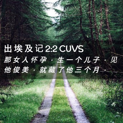 Picture 02 - 出 埃 及 记 2:2 CUVS - 那 女 人 怀 孕 ， 生 一 个 儿 子 ， - Bible Verse Picture