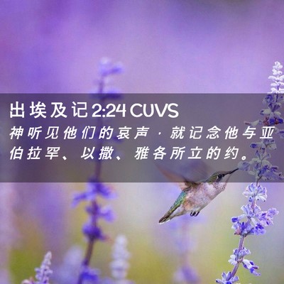 Picture 02 - 出 埃 及 记 2:24 CUVS - 神 听 见 他 们 的 哀 声 ， 就 记 念 - Bible Verse Picture