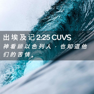 Picture 02 - 出 埃 及 记 2:25 CUVS - 神 看 顾 以 色 列 人 ， 也 知 道 他 - Bible Verse Picture