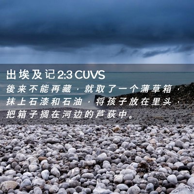 Picture 02 - 出 埃 及 记 2:3 CUVS - 後 来 不 能 再 藏 ， 就 取 了 一 个 - Bible Verse Picture