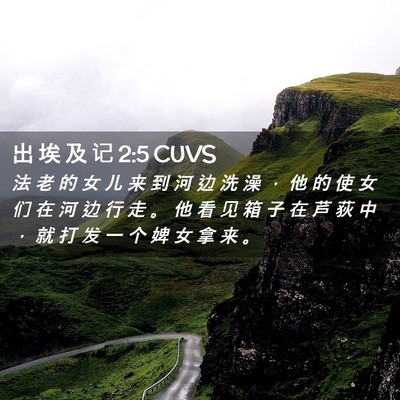 Picture 02 - 出 埃 及 记 2:5 CUVS - 法 老 的 女 儿 来 到 河 边 洗 澡 ， - Bible Verse Picture