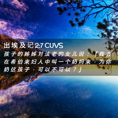 Picture 02 - 出 埃 及 记 2:7 CUVS - 孩 子 的 姊 姊 对 法 老 的 女 儿 说 - Bible Verse Picture