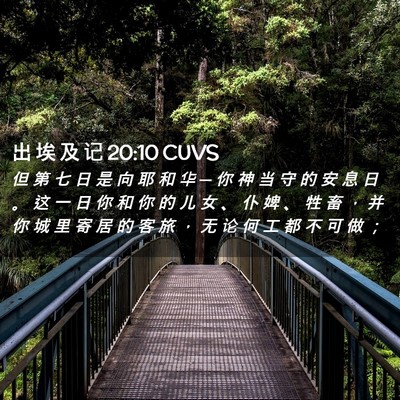 Picture 02 - 出 埃 及 记 20:10 CUVS - 但 第 七 日 是 向 耶 和 华 ─ 你 神 - Bible Verse Picture