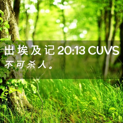 Picture 02 - 出 埃 及 记 20:13 CUVS - 不 可 杀 人 - Bible Verse Picture