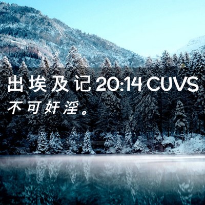 Picture 02 - 出 埃 及 记 20:14 CUVS - 不 可 奸 淫 - Bible Verse Picture