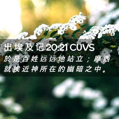 Picture 02 - 出 埃 及 记 20:21 CUVS - 於 是 百 姓 远 远 地 站 立 ； 摩 西 - Bible Verse Picture