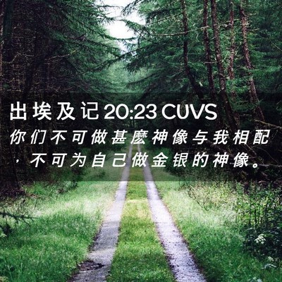 Picture 02 - 出 埃 及 记 20:23 CUVS - 你 们 不 可 做 甚 麽 神 像 与 我 相 - Bible Verse Picture