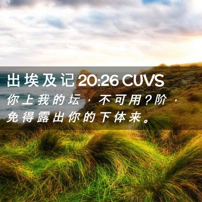 Picture 02 - 出 埃 及 记 20:26 CUVS - 你 上 我 的 坛 ， 不 可 用 ? 阶 ， 免 - Bible Verse Picture