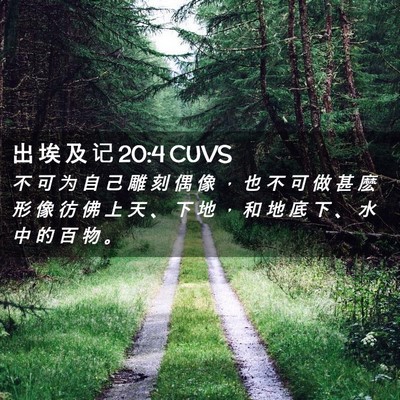 Picture 02 - 出 埃 及 记 20:4 CUVS - 不 可 为 自 己 雕 刻 偶 像 ， 也 不 - Bible Verse Picture