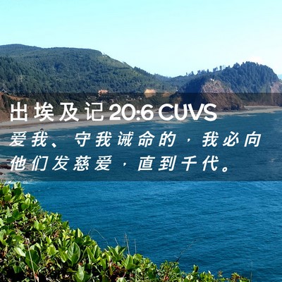 Picture 02 - 出 埃 及 记 20:6 CUVS - 爱 我 、 守 我 诫 命 的 ， 我 必 向 - Bible Verse Picture