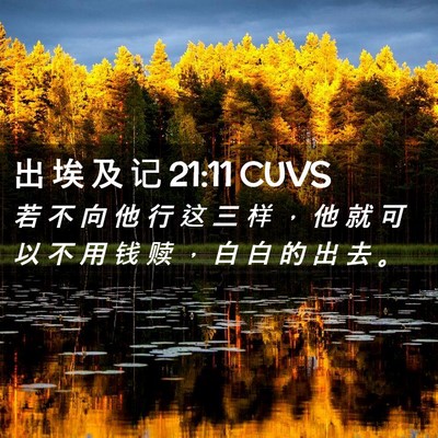 Picture 02 - 出 埃 及 记 21:11 CUVS - 若 不 向 他 行 这 三 样 ， 他 就 可 - Bible Verse Picture
