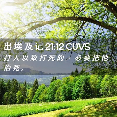 Picture 02 - 出 埃 及 记 21:12 CUVS - 打 人 以 致 打 死 的 ， 必 要 把 他 - Bible Verse Picture