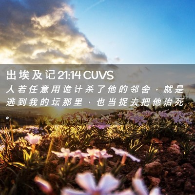 Picture 02 - 出 埃 及 记 21:14 CUVS - 人 若 任 意 用 诡 计 杀 了 他 的 邻 - Bible Verse Picture