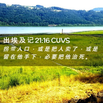 Picture 02 - 出 埃 及 记 21:16 CUVS - 拐 带 人 口 ， 或 是 把 人 卖 了 ， - Bible Verse Picture