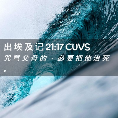 Picture 02 - 出 埃 及 记 21:17 CUVS - 咒 骂 父 母 的 ， 必 要 把 他 治 死 - Bible Verse Picture