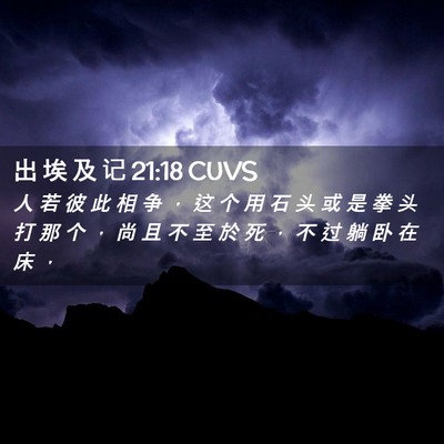 Picture 02 - 出 埃 及 记 21:18 CUVS - 人 若 彼 此 相 争 ， 这 个 用 石 头 - Bible Verse Picture