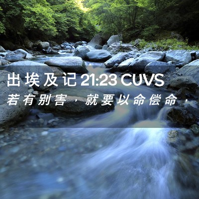 Picture 02 - 出 埃 及 记 21:23 CUVS - 若 有 别 害 ， 就 要 以 命 偿 命 - Bible Verse Picture