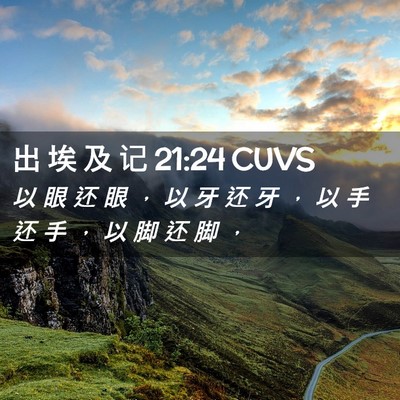 Picture 02 - 出 埃 及 记 21:24 CUVS - 以 眼 还 眼 ， 以 牙 还 牙 ， 以 手 - Bible Verse Picture
