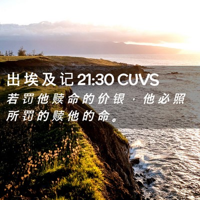 Picture 02 - 出 埃 及 记 21:30 CUVS - 若 罚 他 赎 命 的 价 银 ， 他 必 照 - Bible Verse Picture