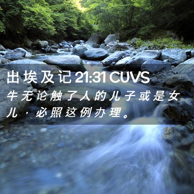 Picture 02 - 出 埃 及 记 21:31 CUVS - 牛 无 论 触 了 人 的 儿 子 或 是 女 - Bible Verse Picture