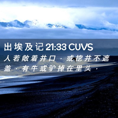 Picture 02 - 出 埃 及 记 21:33 CUVS - 人 若 敞 着 井 口 ， 或 挖 井 不 遮 - Bible Verse Picture