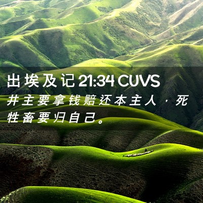 Picture 02 - 出 埃 及 记 21:34 CUVS - 井 主 要 拿 钱 赔 还 本 主 人 ， 死 - Bible Verse Picture