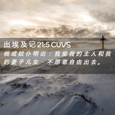 Picture 02 - 出 埃 及 记 21:5 CUVS - 倘 或 奴 仆 明 说 ： 我 爱 我 的 主 - Bible Verse Picture
