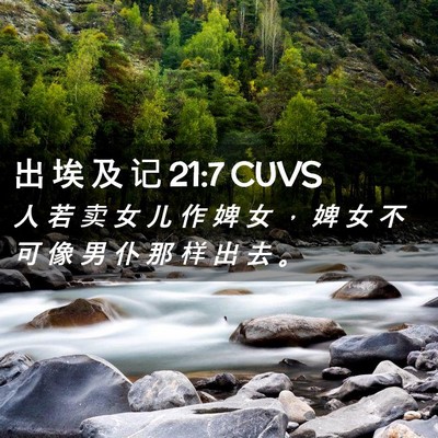 Picture 02 - 出 埃 及 记 21:7 CUVS - 人 若 卖 女 儿 作 婢 女 ， 婢 女 不 - Bible Verse Picture