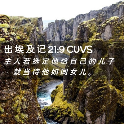 Picture 02 - 出 埃 及 记 21:9 CUVS - 主 人 若 选 定 他 给 自 己 的 儿 子 - Bible Verse Picture