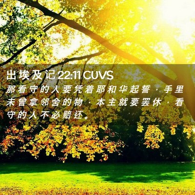 Picture 02 - 出 埃 及 记 22:11 CUVS - 那 看 守 的 人 要 凭 着 耶 和 华 起 - Bible Verse Picture