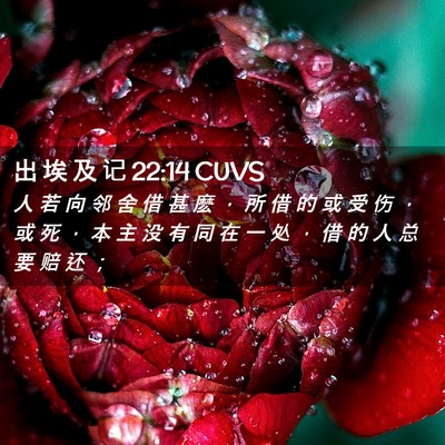 Picture 02 - 出 埃 及 记 22:14 CUVS - 人 若 向 邻 舍 借 甚 麽 ， 所 借 的 - Bible Verse Picture