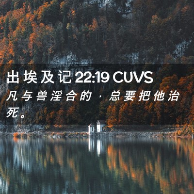 Picture 02 - 出 埃 及 记 22:19 CUVS - 凡 与 兽 淫 合 的 ， 总 要 把 他 治 - Bible Verse Picture