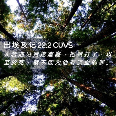 Picture 02 - 出 埃 及 记 22:2 CUVS - 人 若 遇 见 贼 挖 窟 窿 ， 把 贼 打 - Bible Verse Picture