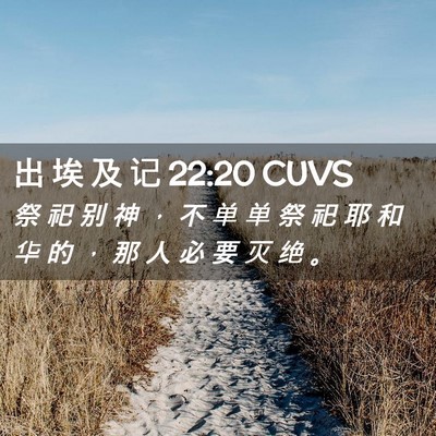 Picture 02 - 出 埃 及 记 22:20 CUVS - 祭 祀 别 神 ， 不 单 单 祭 祀 耶 和 - Bible Verse Picture