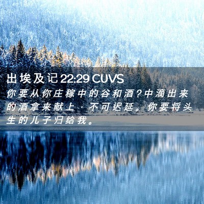 Picture 02 - 出 埃 及 记 22:29 CUVS - 你 要 从 你 庄 稼 中 的 谷 和 酒 ? 中 - Bible Verse Picture