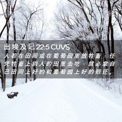 Picture 02 - 出 埃 及 记 22:5 CUVS - 人 若 在 田 间 或 在 葡 萄 园 里 放 - Bible Verse Picture