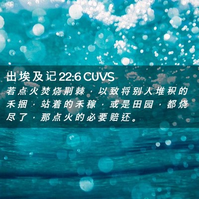 Picture 02 - 出 埃 及 记 22:6 CUVS - 若 点 火 焚 烧 荆 棘 ， 以 致 将 别 - Bible Verse Picture
