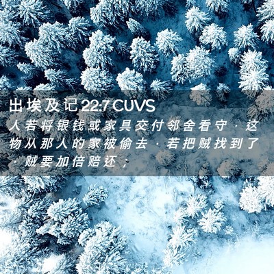 Picture 02 - 出 埃 及 记 22:7 CUVS - 人 若 将 银 钱 或 家 具 交 付 邻 舍 - Bible Verse Picture