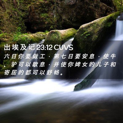 Picture 02 - 出 埃 及 记 23:12 CUVS - 六 日 你 要 做 工 ， 第 七 日 要 安 - Bible Verse Picture