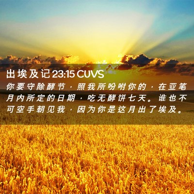Picture 02 - 出 埃 及 记 23:15 CUVS - 你 要 守 除 酵 节 ， 照 我 所 吩 咐 - Bible Verse Picture