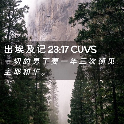 Picture 02 - 出 埃 及 记 23:17 CUVS - 一 切 的 男 丁 要 一 年 三 次 朝 见 - Bible Verse Picture