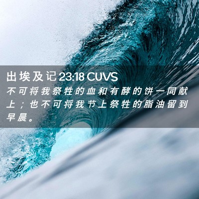 Picture 02 - 出 埃 及 记 23:18 CUVS - 不 可 将 我 祭 牲 的 血 和 有 酵 的 - Bible Verse Picture