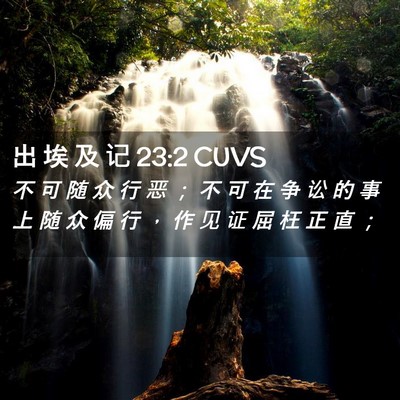 Picture 02 - 出 埃 及 记 23:2 CUVS - 不 可 随 众 行 恶 ； 不 可 在 争 讼 - Bible Verse Picture