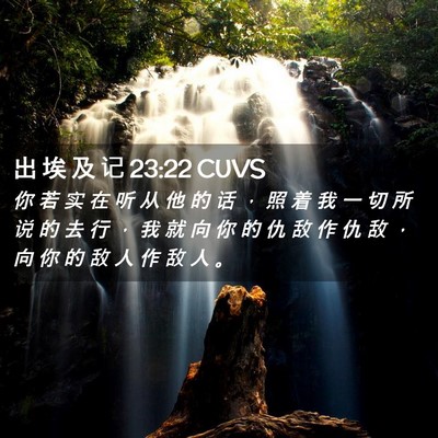 Picture 02 - 出 埃 及 记 23:22 CUVS - 你 若 实 在 听 从 他 的 话 ， 照 着 - Bible Verse Picture