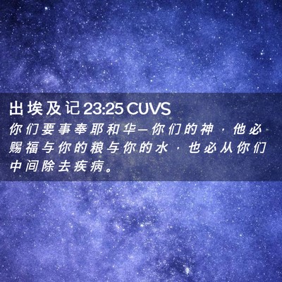 Picture 02 - 出 埃 及 记 23:25 CUVS - 你 们 要 事 奉 耶 和 华 ─ 你 们 的 - Bible Verse Picture