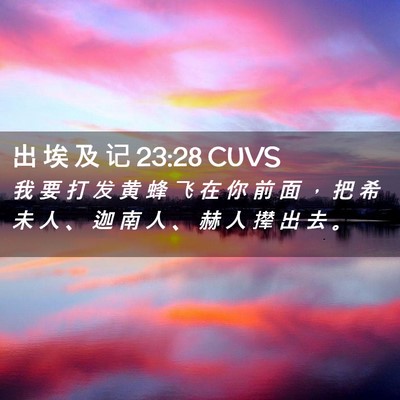 Picture 02 - 出 埃 及 记 23:28 CUVS - 我 要 打 发 黄 蜂 飞 在 你 前 面 ， - Bible Verse Picture