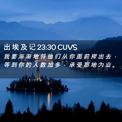 Picture 02 - 出 埃 及 记 23:30 CUVS - 我 要 渐 渐 地 将 他 们 从 你 面 前 - Bible Verse Picture