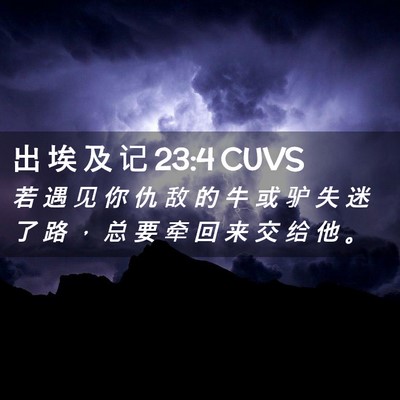 Picture 02 - 出 埃 及 记 23:4 CUVS - 若 遇 见 你 仇 敌 的 牛 或 驴 失 迷 - Bible Verse Picture
