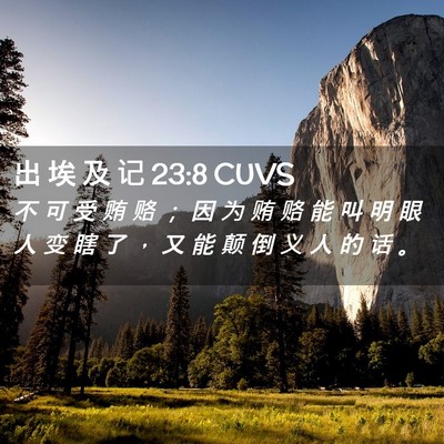 Picture 02 - 出 埃 及 记 23:8 CUVS - 不 可 受 贿 赂 ； 因 为 贿 赂 能 叫 - Bible Verse Picture
